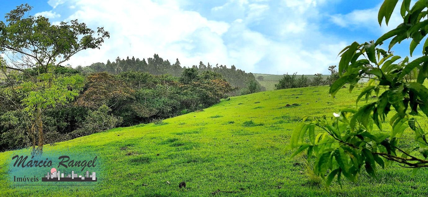 Sítio, 3 hectares - Foto 2