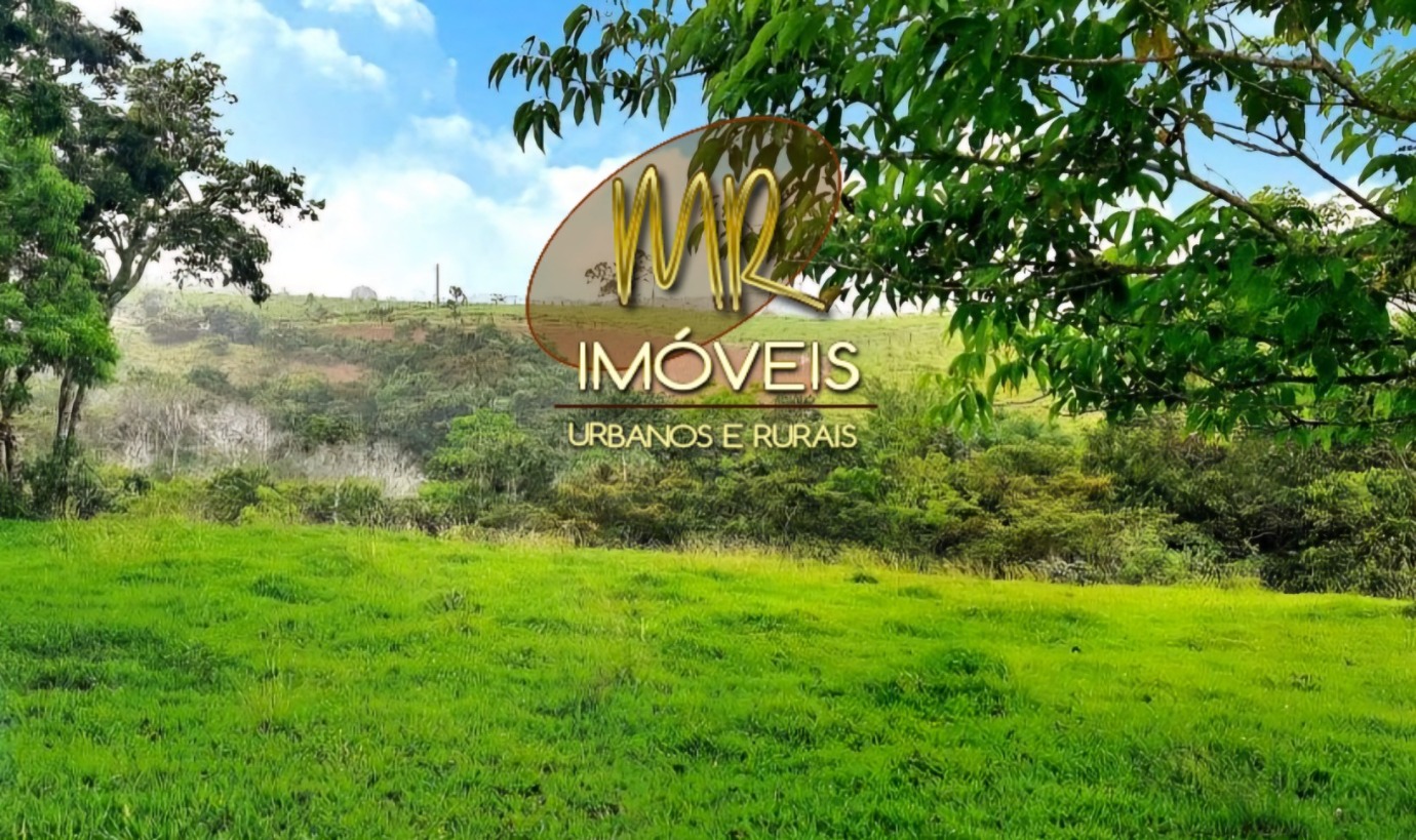 Sítio, 3 hectares - Foto 1