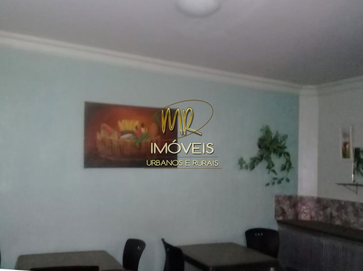 Apartamento - Foto 4