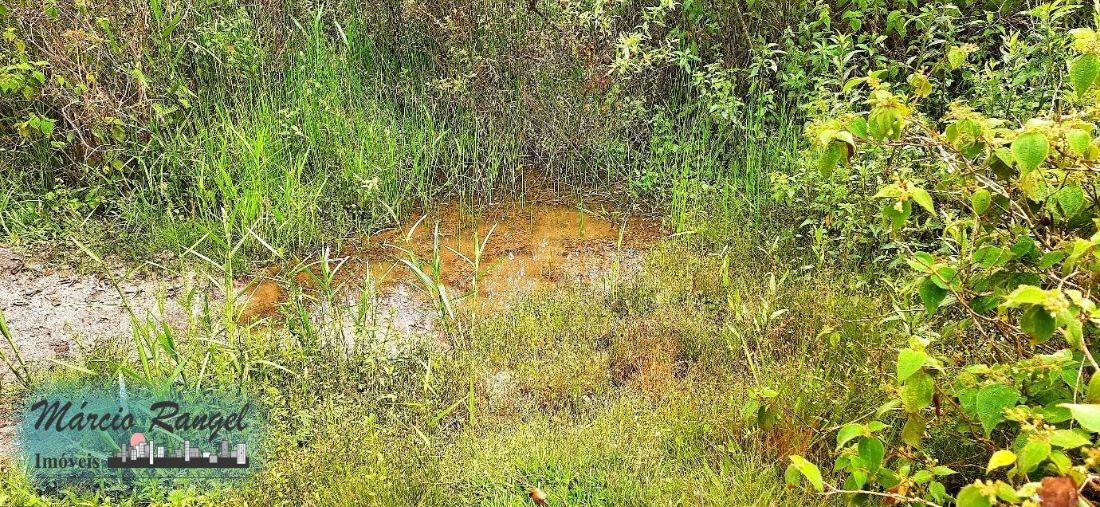 Sítio, 3 hectares - Foto 19
