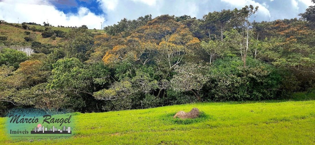 Sítio, 3 hectares - Foto 5