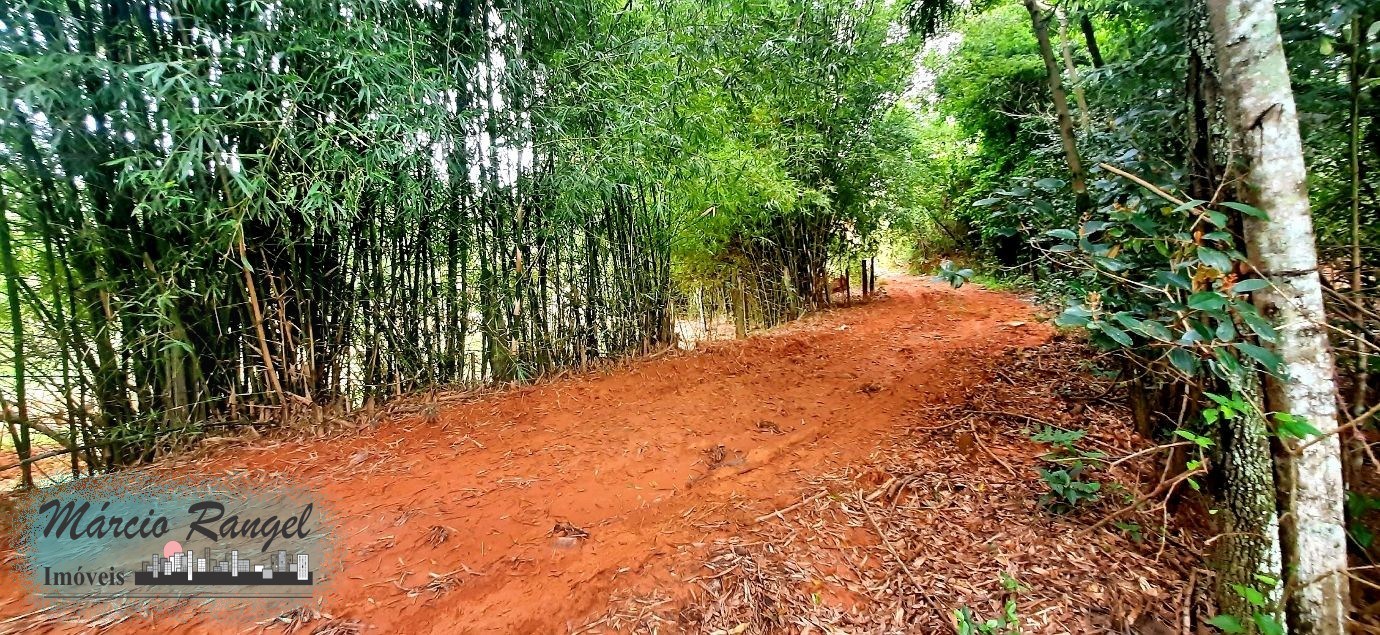 Sítio, 3 hectares - Foto 8