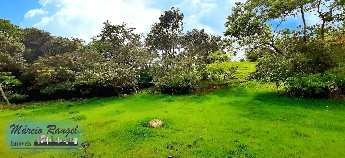 Sítio, 3 hectares - Foto 12