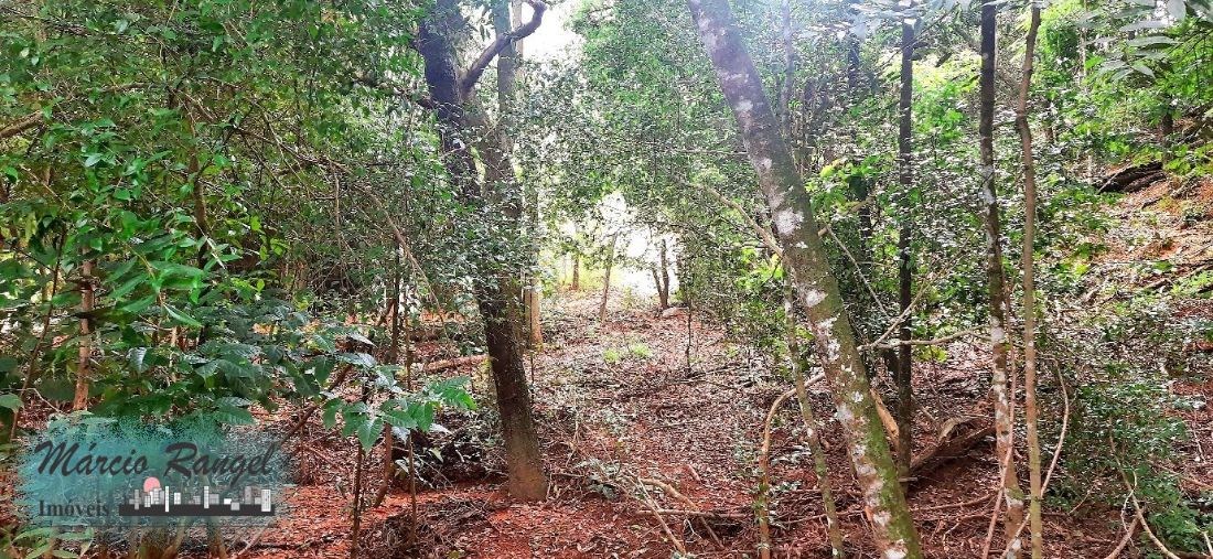 Sítio, 3 hectares - Foto 15