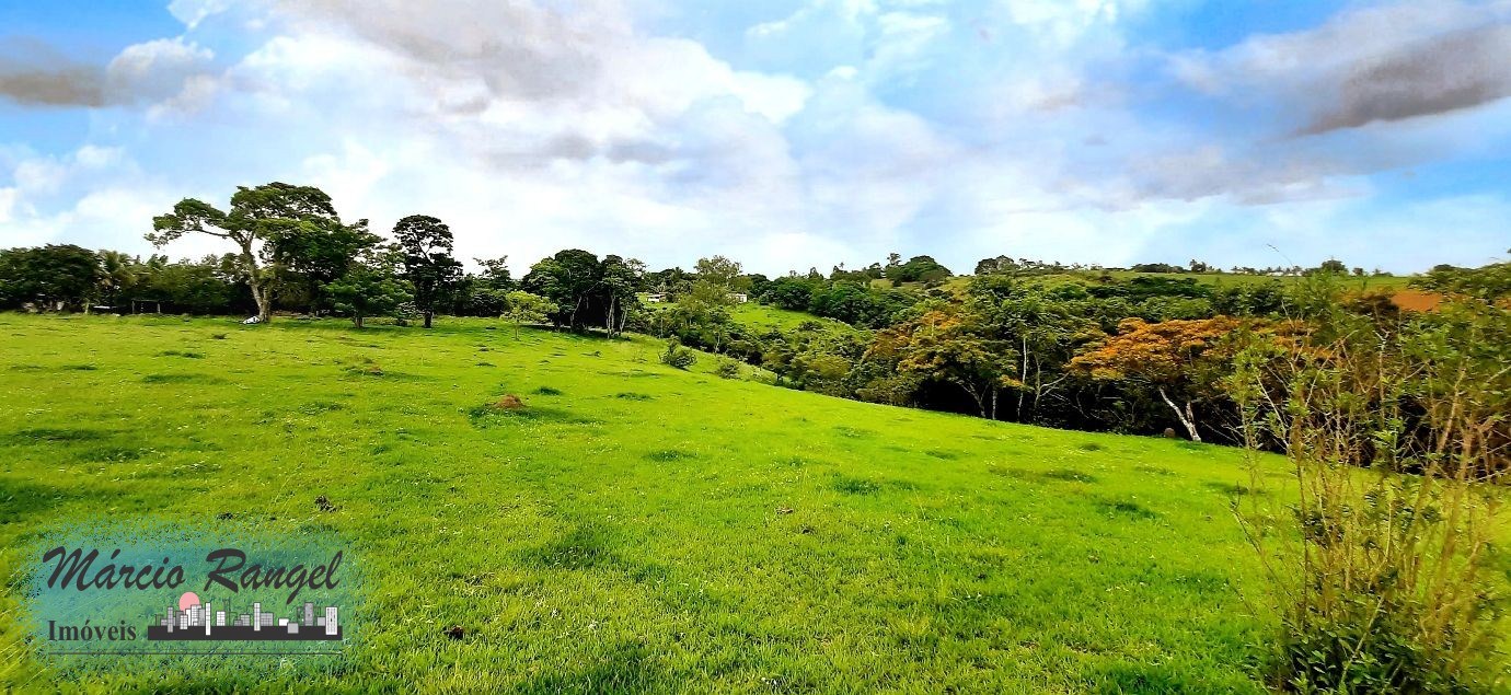 Sítio, 3 hectares - Foto 4