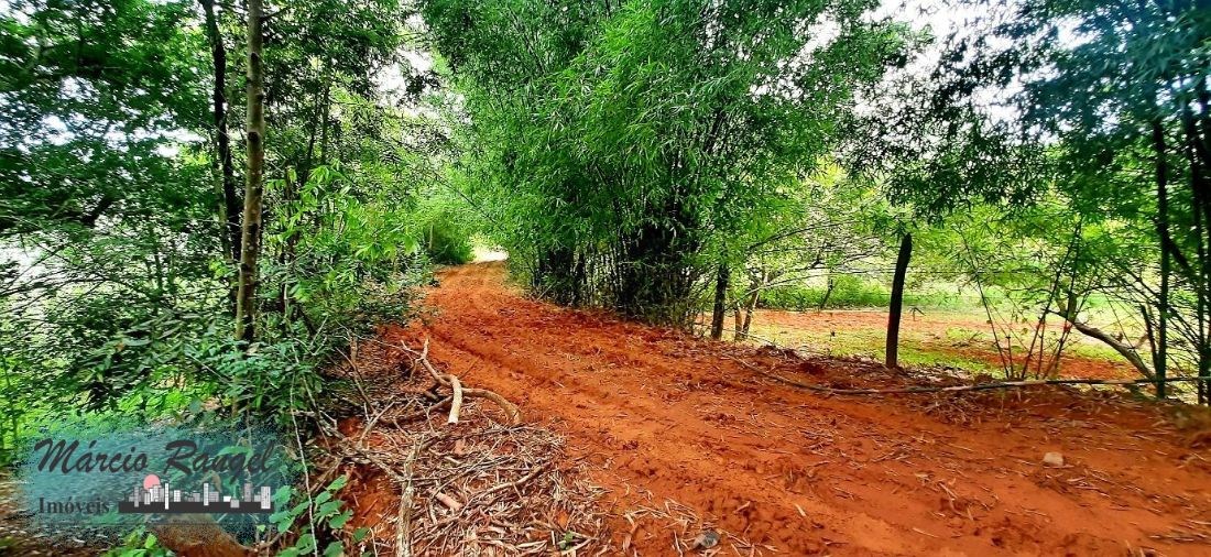 Sítio, 3 hectares - Foto 7