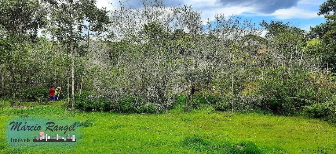 Sítio, 3 hectares - Foto 3