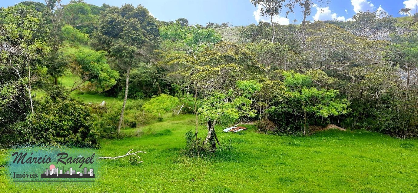 Sítio, 3 hectares - Foto 6