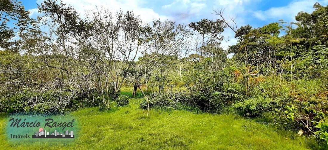 Sítio, 3 hectares - Foto 10