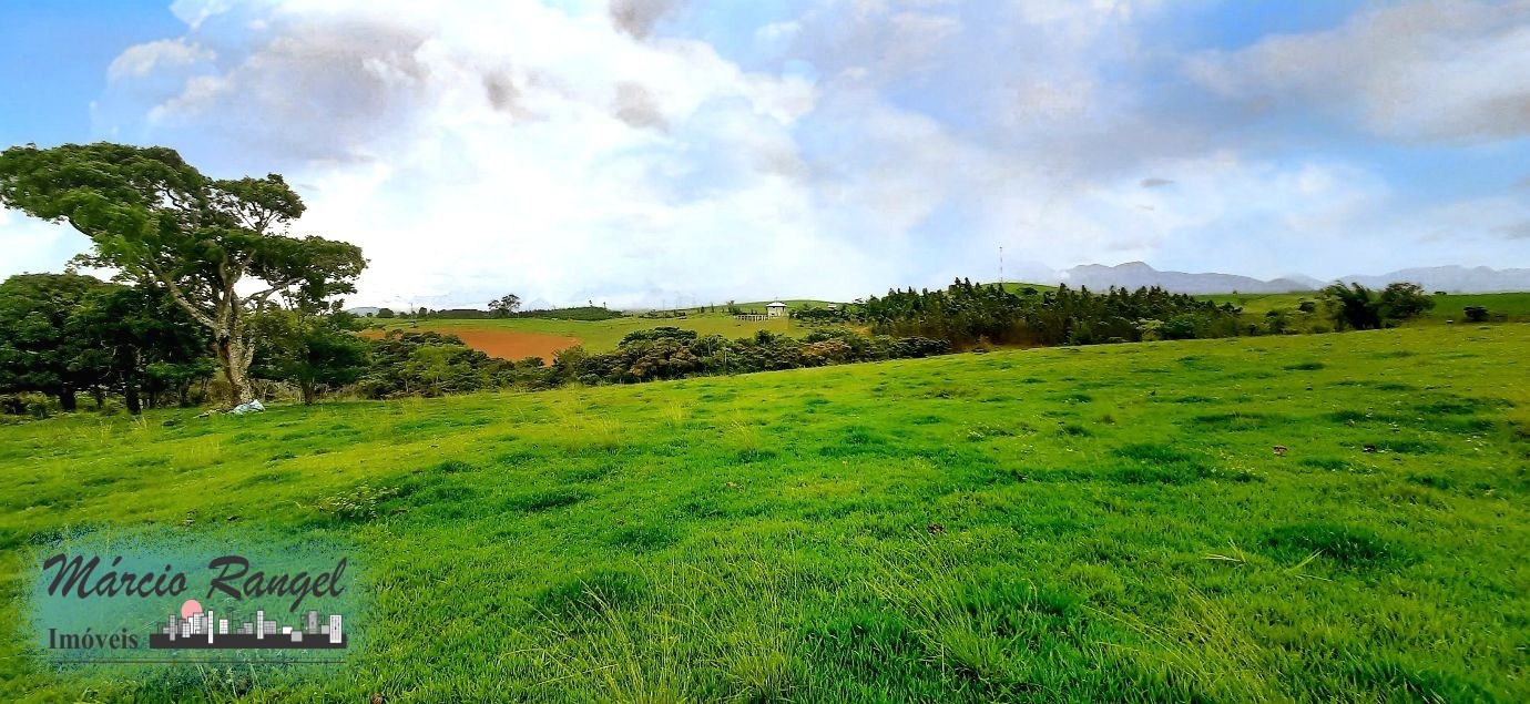 Sítio, 3 hectares - Foto 11