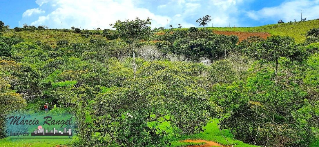 Sítio, 3 hectares - Foto 20