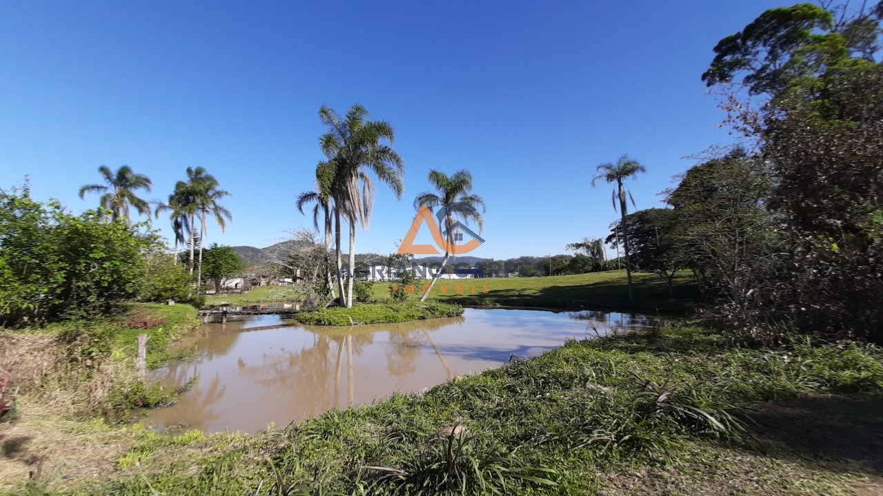 Adriano carpes imóveis vende terreno grande as margens da br - foto 9
