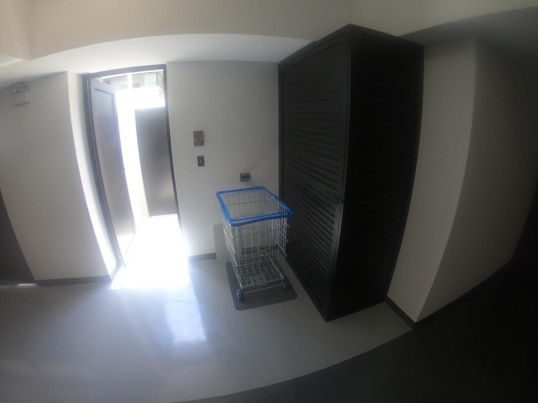 Apartamento, 3 quartos - Foto 17
