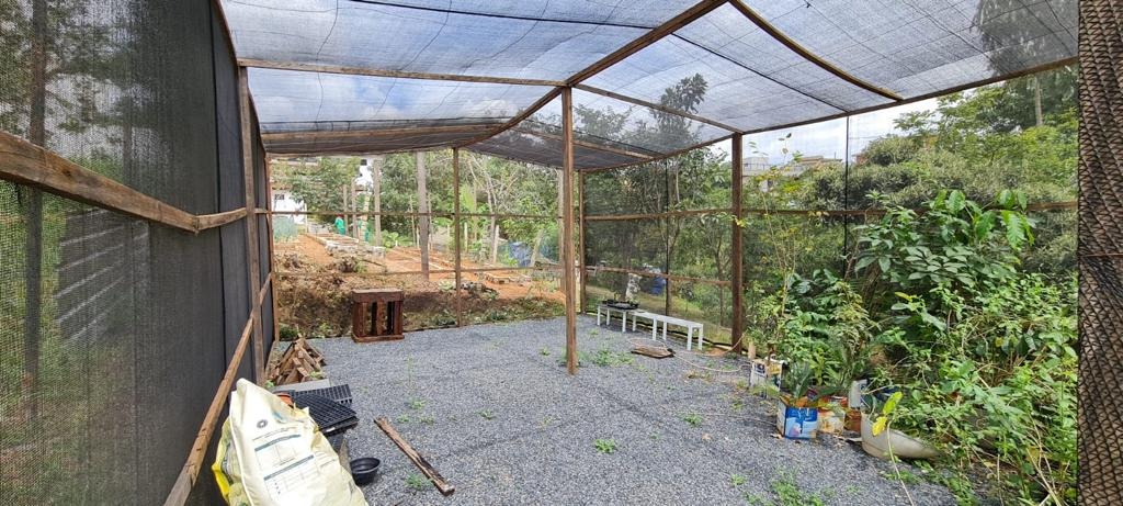 Casa, 5 quartos, 445 m² - Foto 50