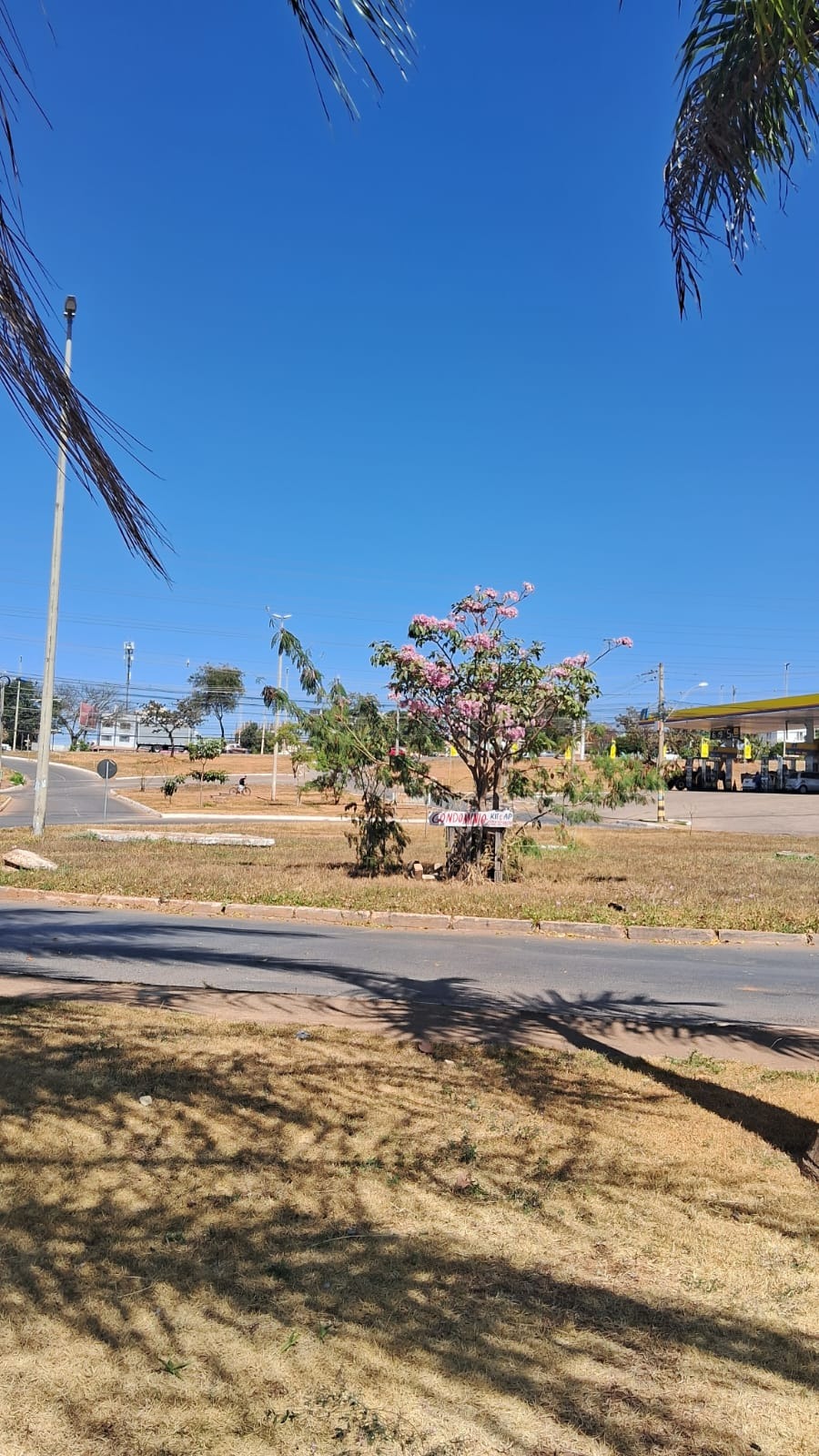 Sha conj 2 condomínio el shaday arniqueiras lote 570m² local - foto 14