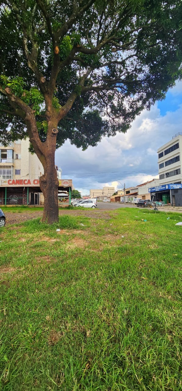 CNF 2 Loja 1 Taguatinga Norte 30m² Esquina Cobertura Área Verde Desocupado