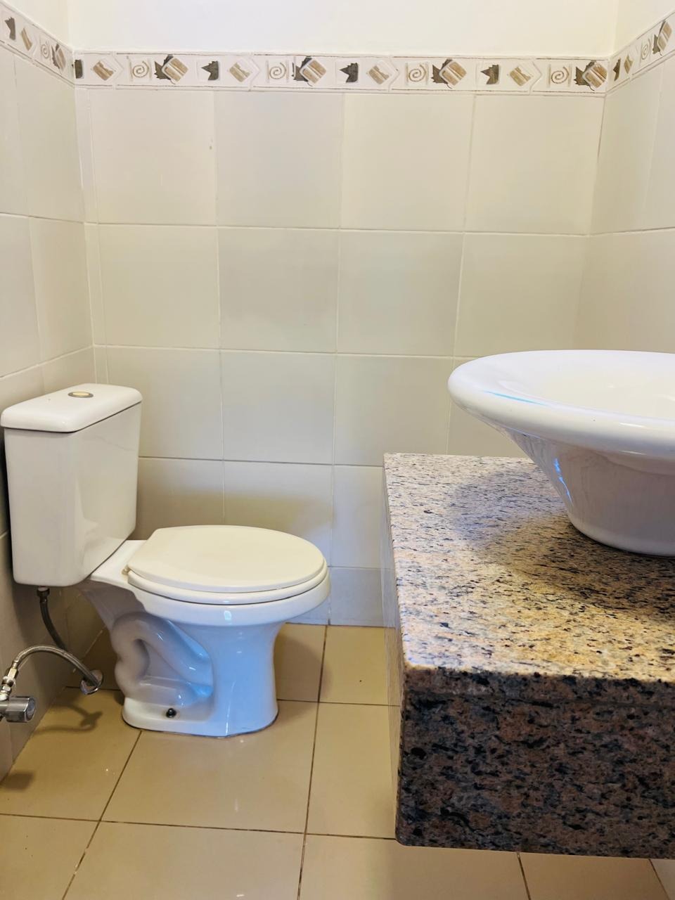 Casa, 4 quartos, 300 m² - Foto 20