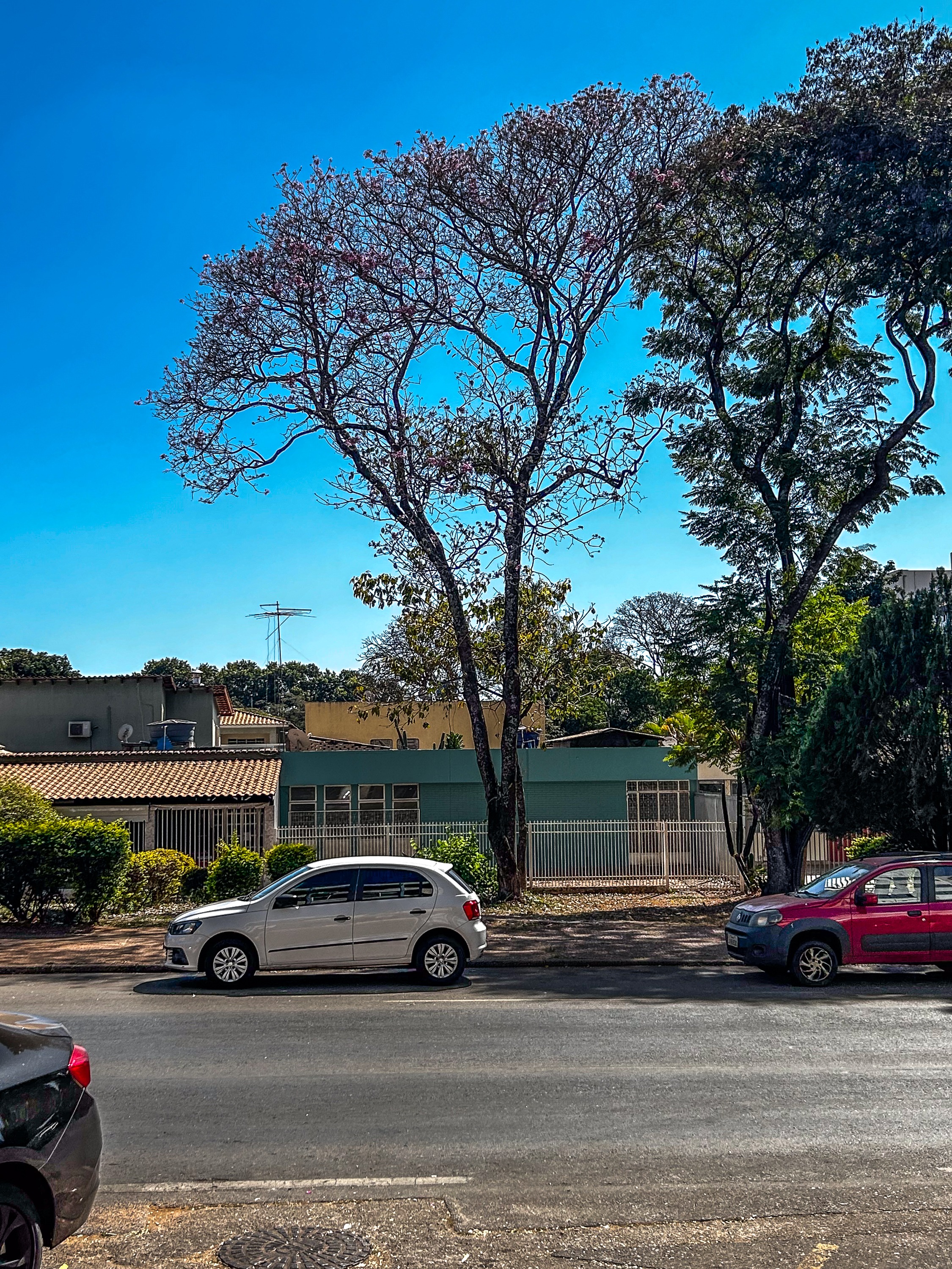 SHCGN 707 Asa Norte Casa 4 Quartos 2 Suítes 6 Vagas 206m² Escritório Varanda