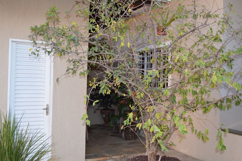 Rua 4 B Vicente Pires Casa 4 Quartos 2 Suítes 6 Vagas Lote 800 m² Piscina