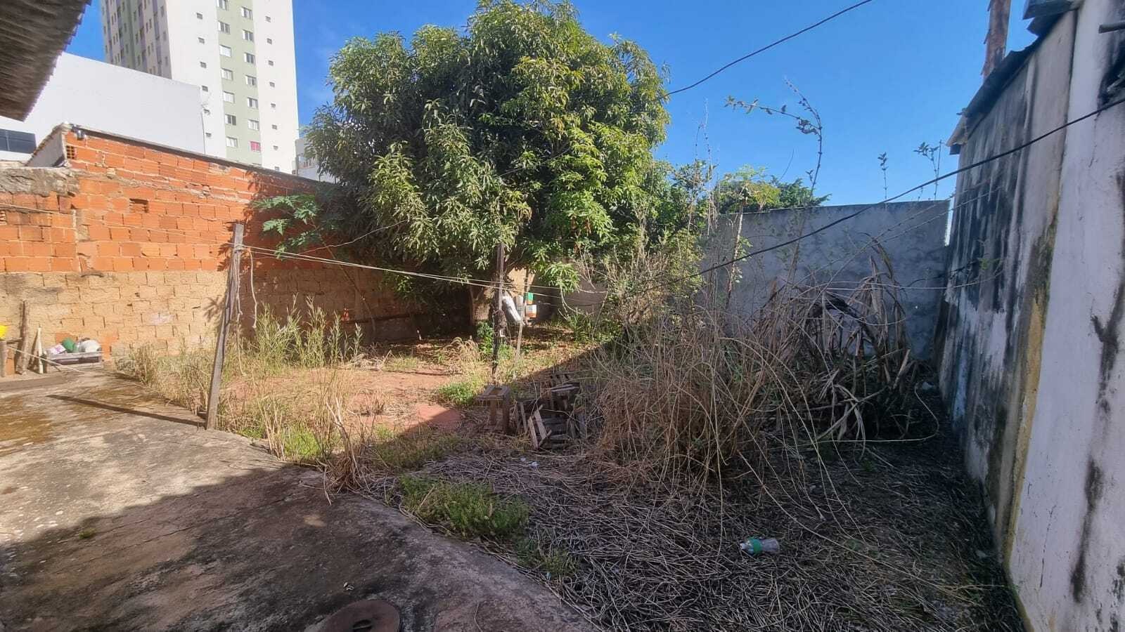 QNH 12 Taguatinga Casa 3 Quartos 3 Vagas 150m² Laje Área de Serviço Cozinha