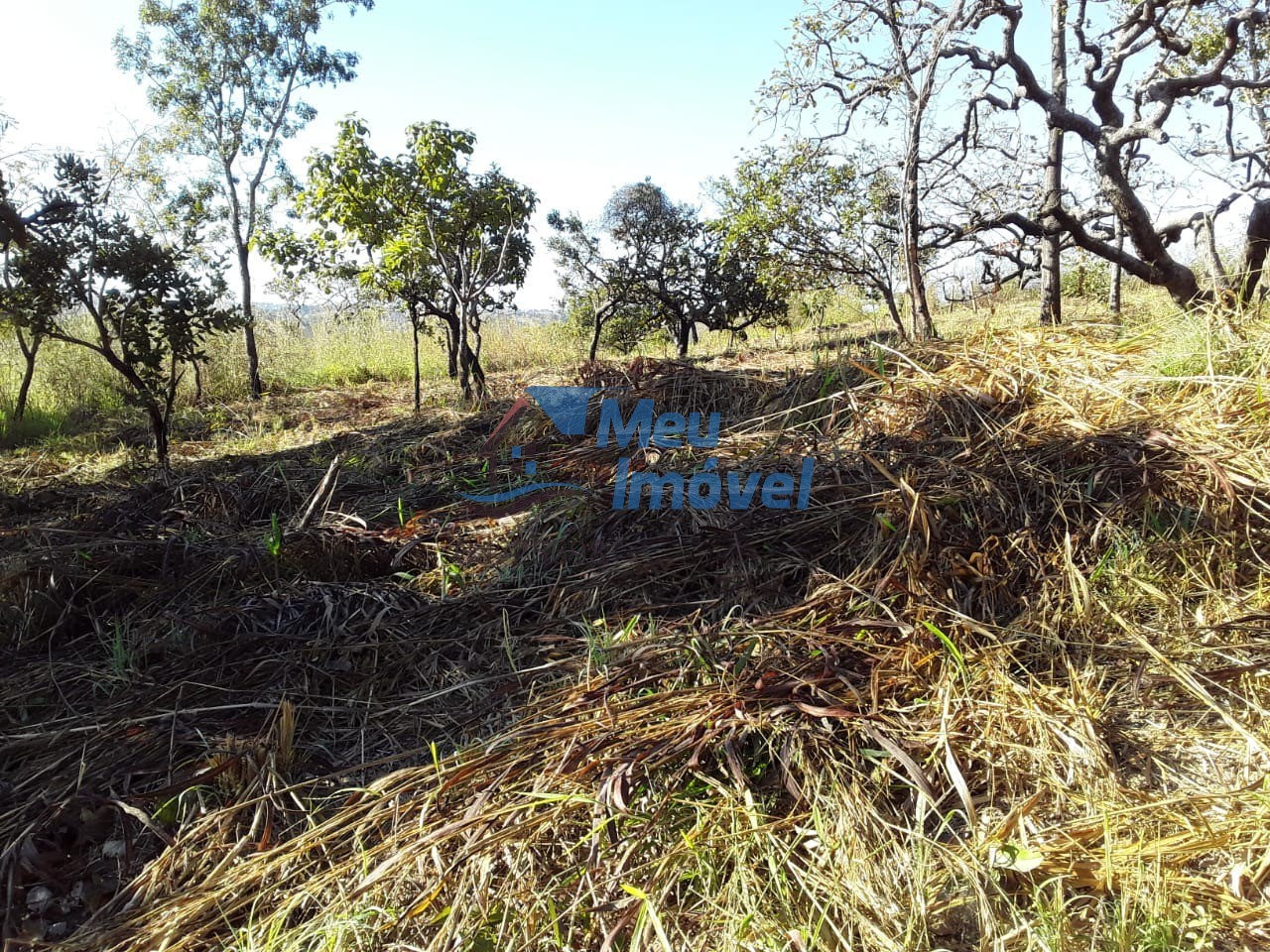 Terreno, 1000 m² - Foto 11