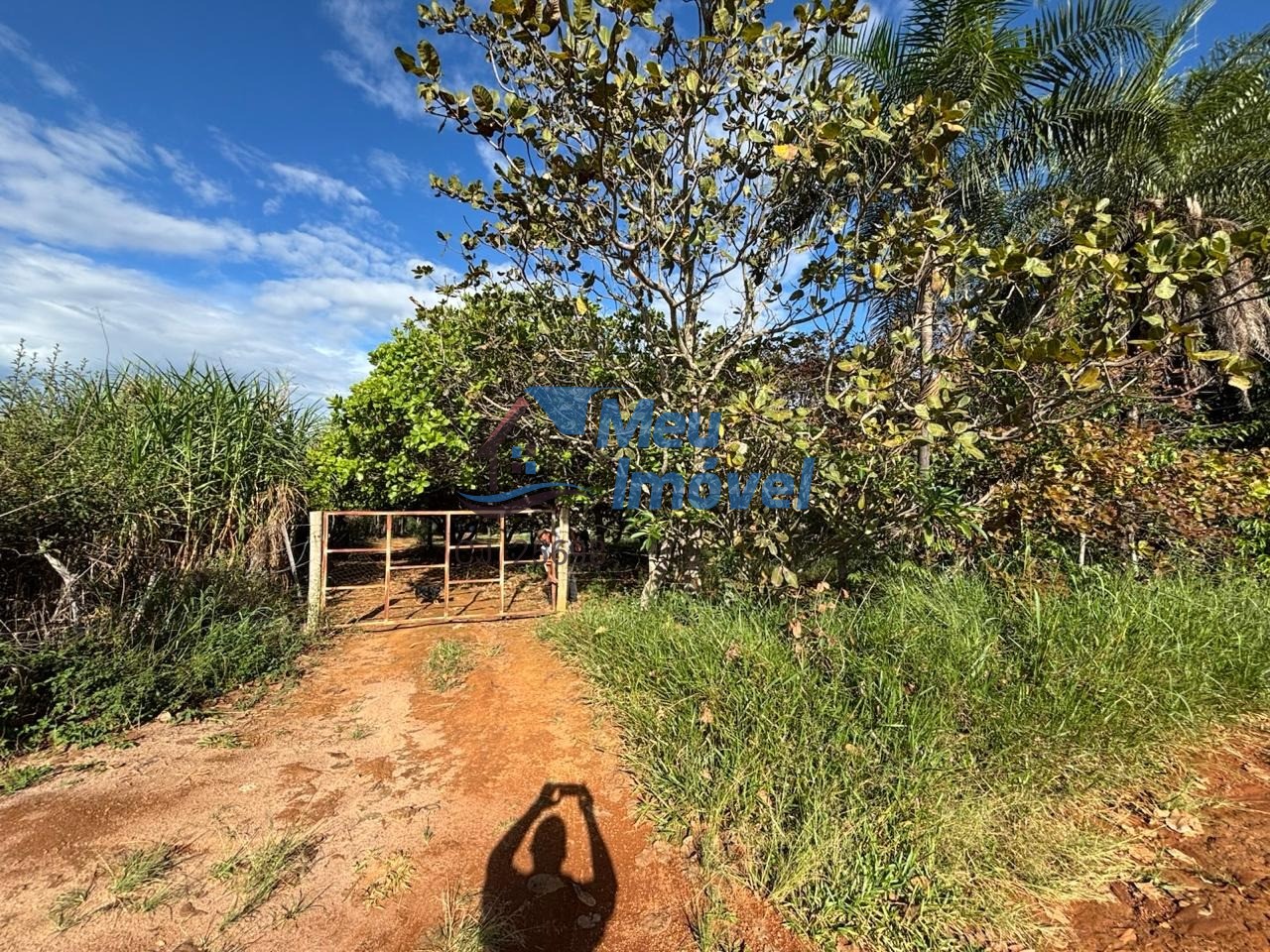 Chácara, 3 quartos, 2 hectares - Foto 17