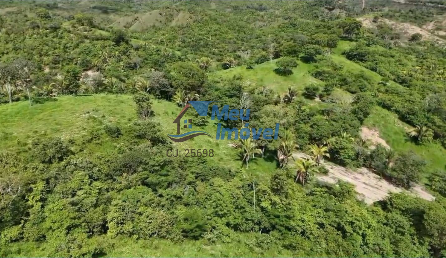Fazenda padre bernardo goiás 260 alqueires poço artesiano cu