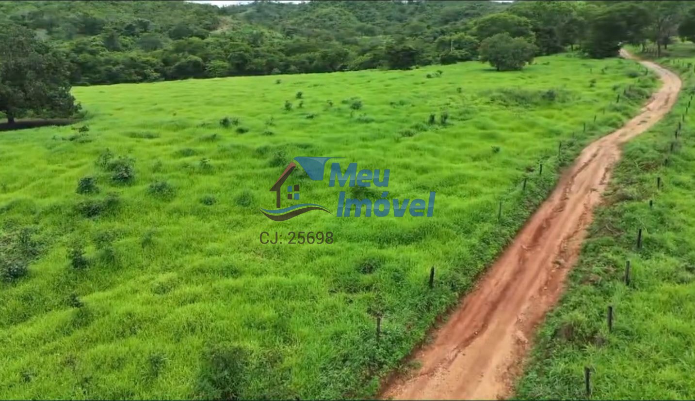 Fazenda padre bernardo goiás 260 alqueires poço artesiano cu