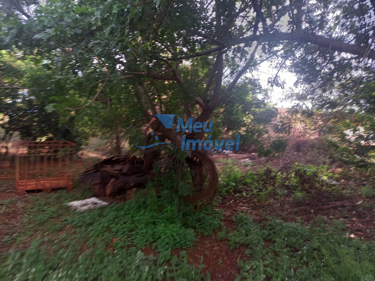 Chácara, 4 quartos, 135 m² - Foto 19