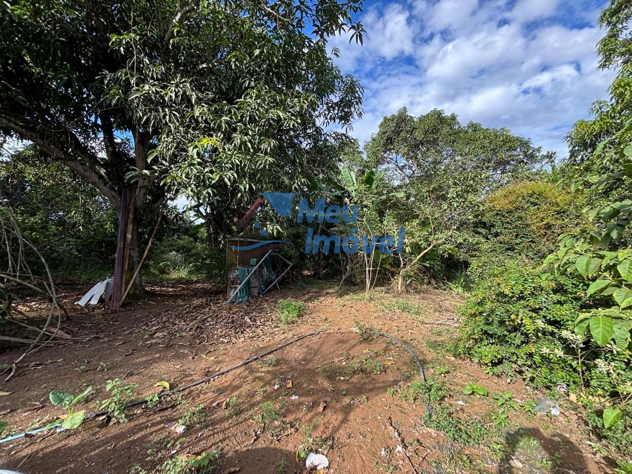 Chácara, 3 quartos, 2 hectares - Foto 9