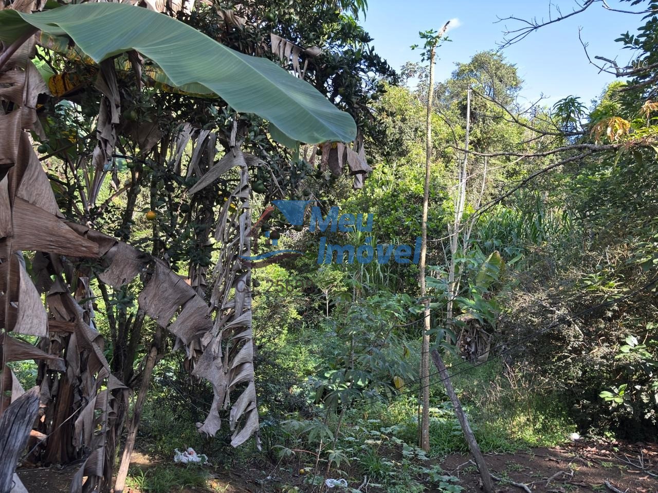 Chácara, 3 quartos, 2 hectares - Foto 4