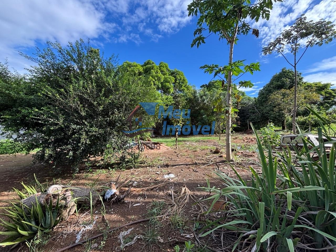 Chácara, 3 quartos, 2 hectares - Foto 13