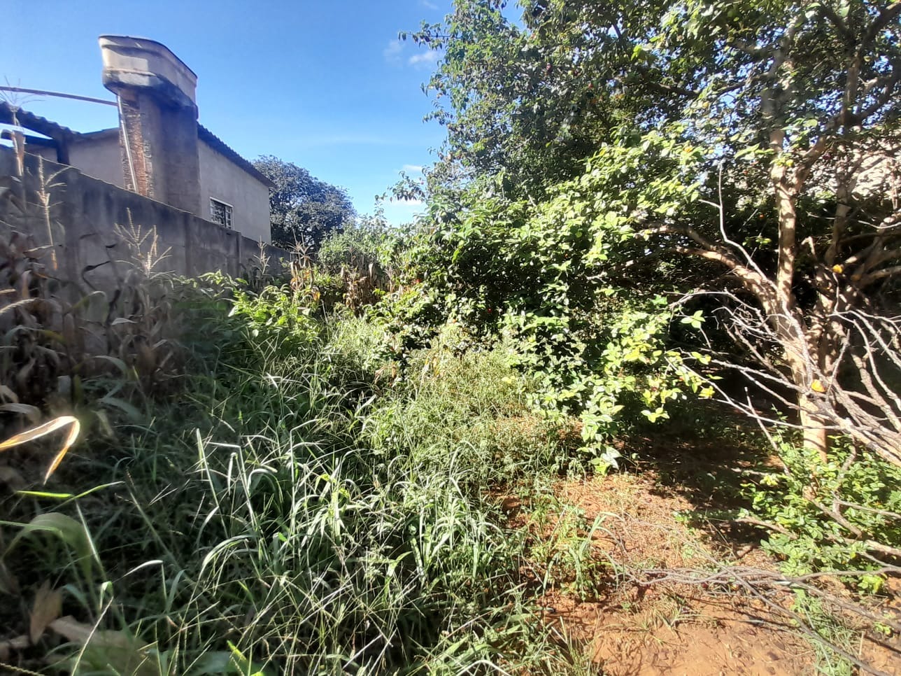 Casa, 4 quartos, 441 m² - Foto 22