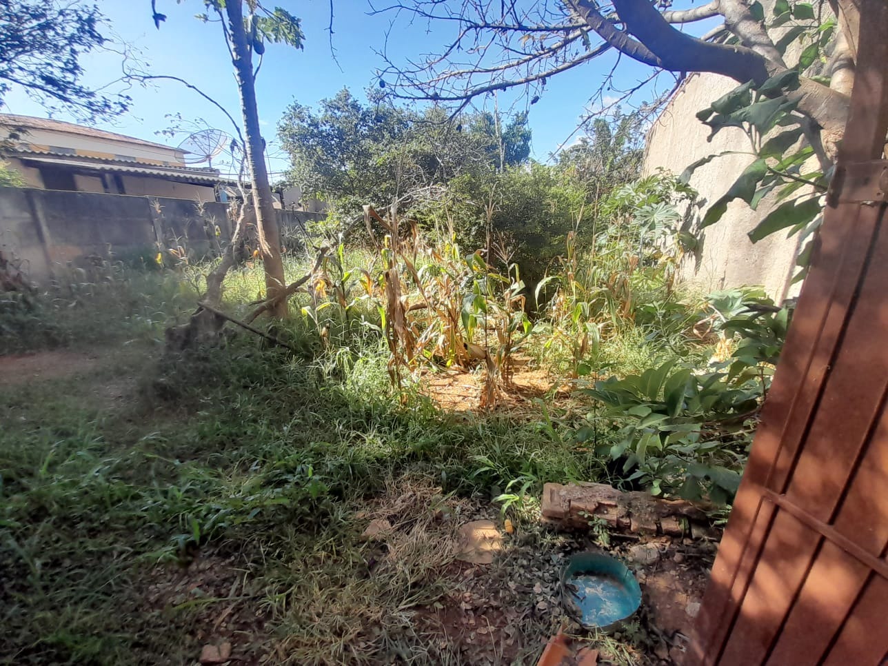 Casa, 4 quartos, 441 m² - Foto 21