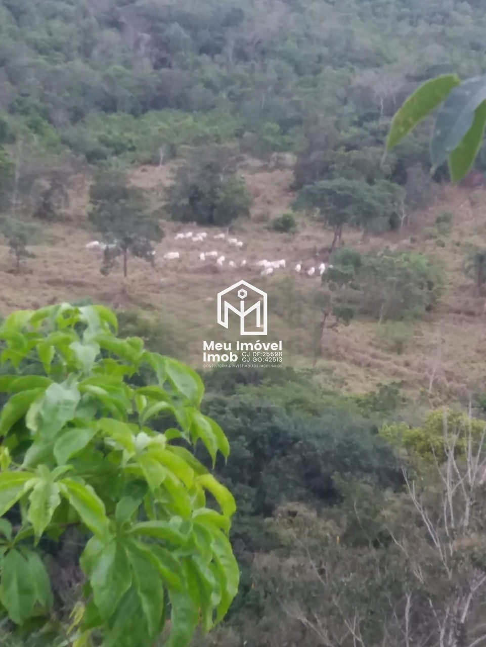 Fazenda, 14 m² - Foto 32