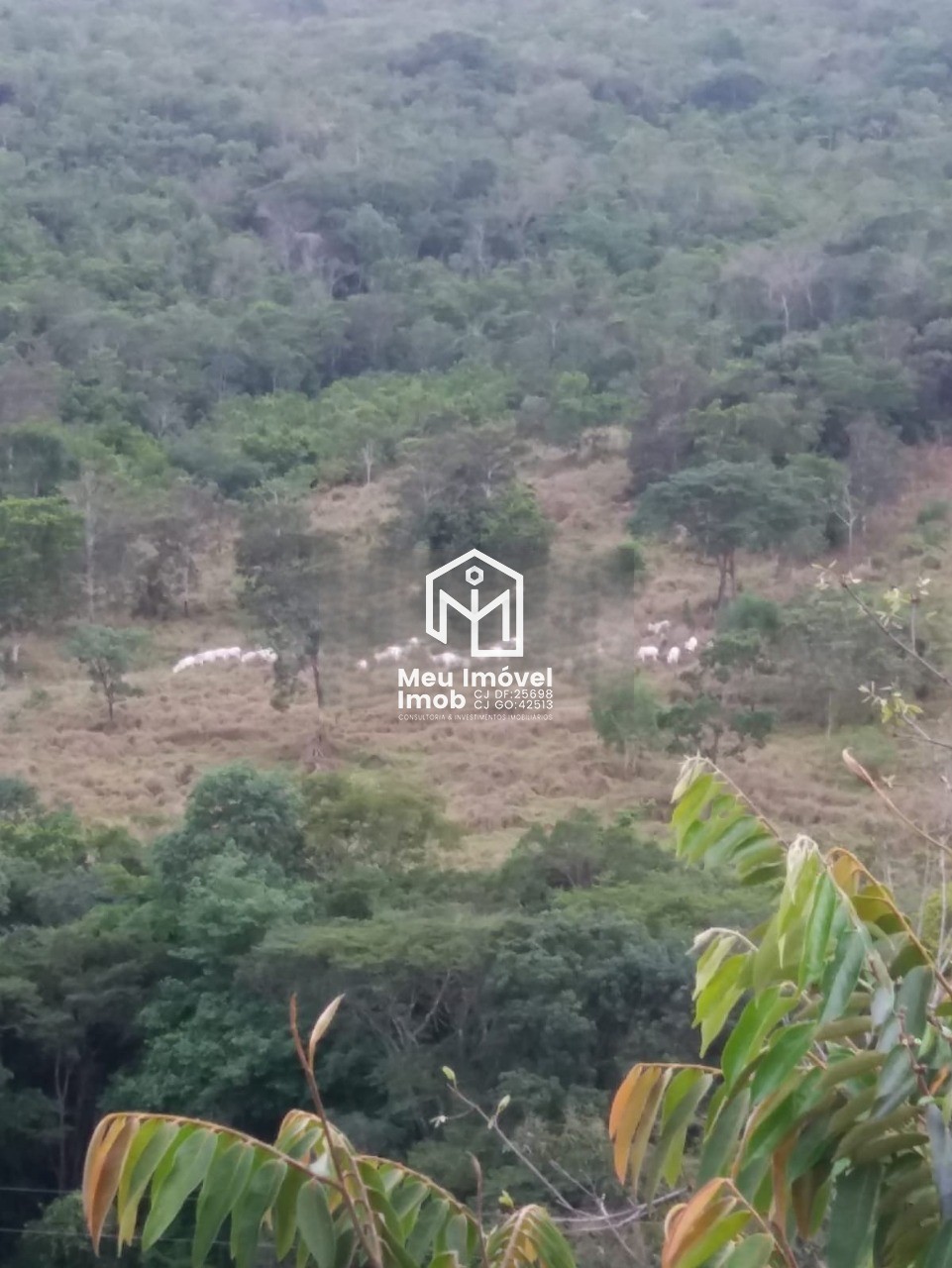 Fazenda, 14 m² - Foto 31