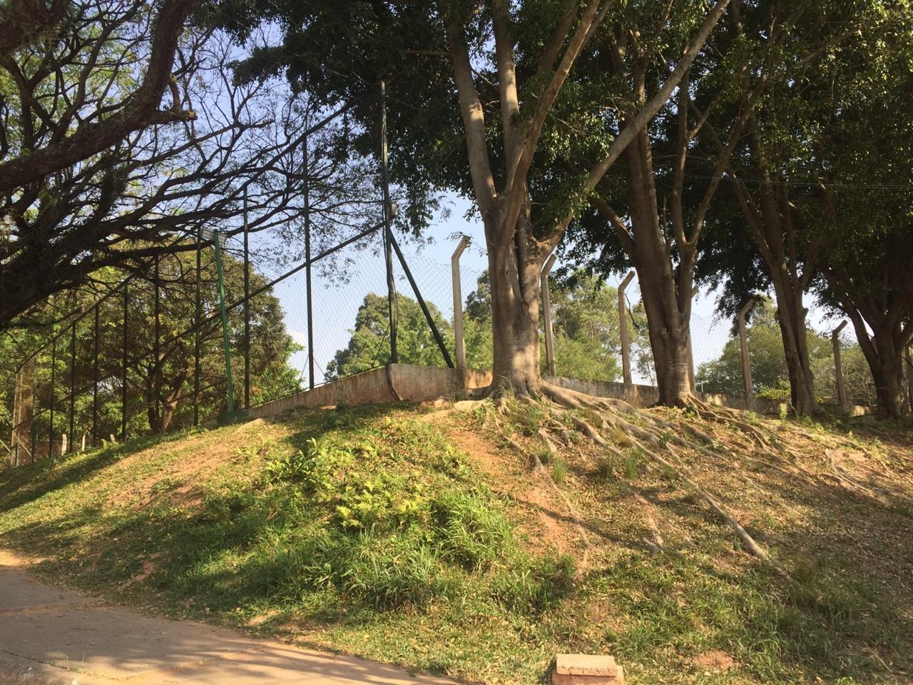 Sobrado à venda com 3 quartos, 239m² - Foto 23