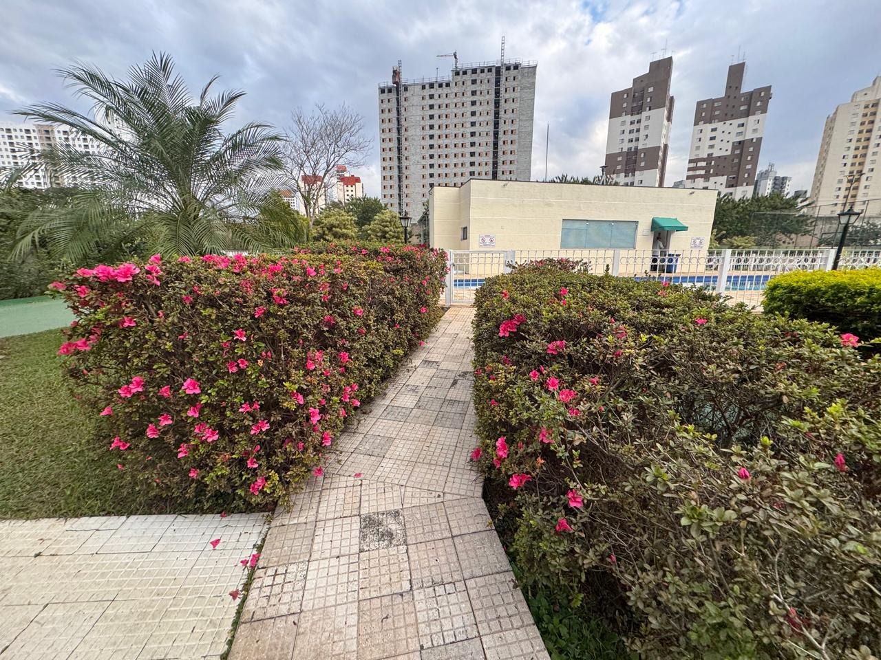 Apartamento, 3 quartos, 70 m² - Foto 17