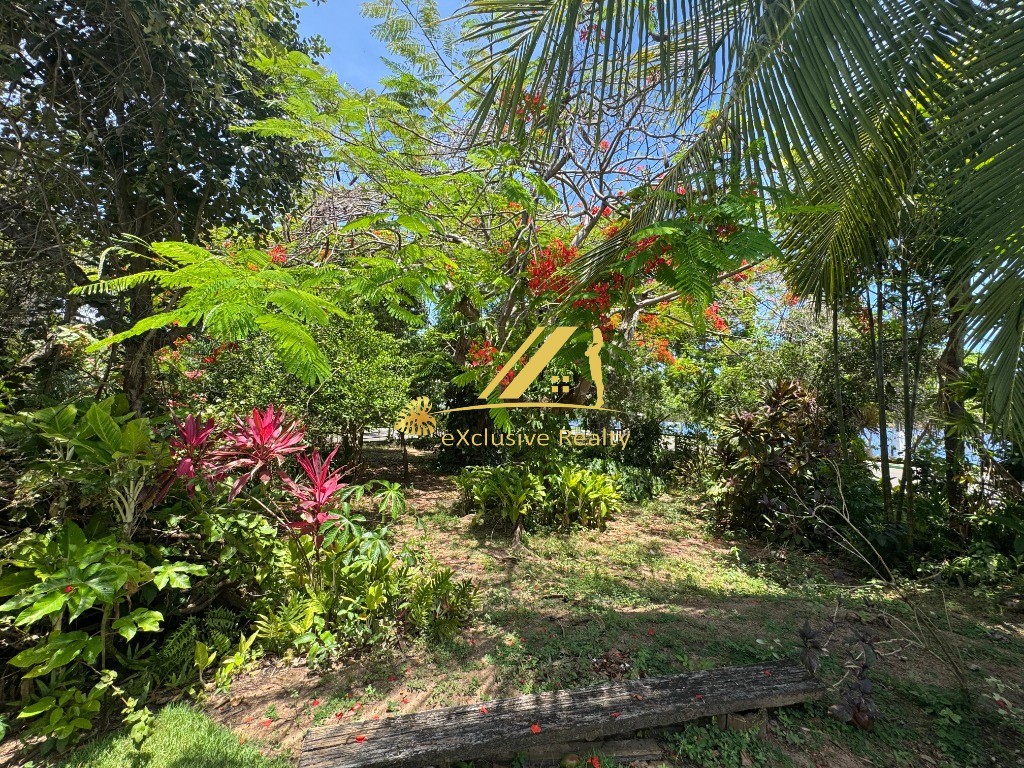 Casa, 5 quartos, 637 m² - Foto 36