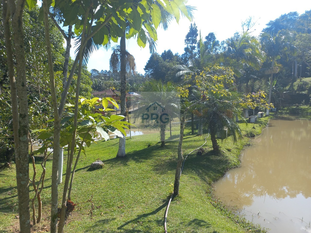 Chácara, 3 quartos, 8000 m² - Foto 28