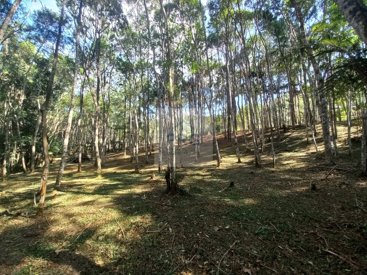 Terreno, 2 hectares - Foto 8