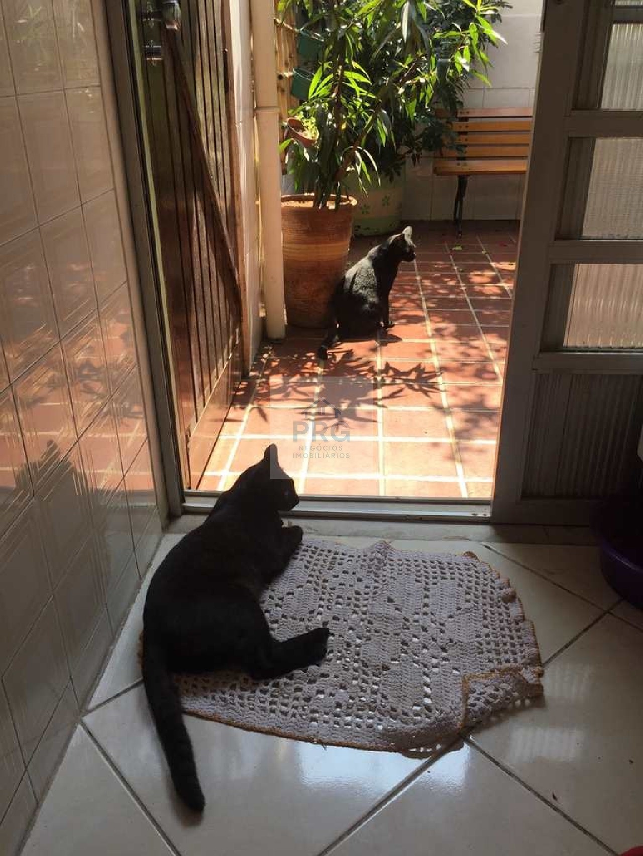 Casa, 3 quartos, 101 m² - Foto 8