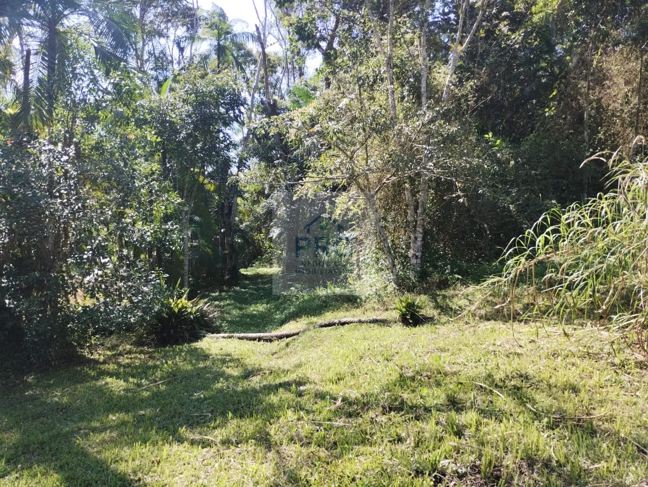 Chácara, 3 quartos, 7 hectares - Foto 3