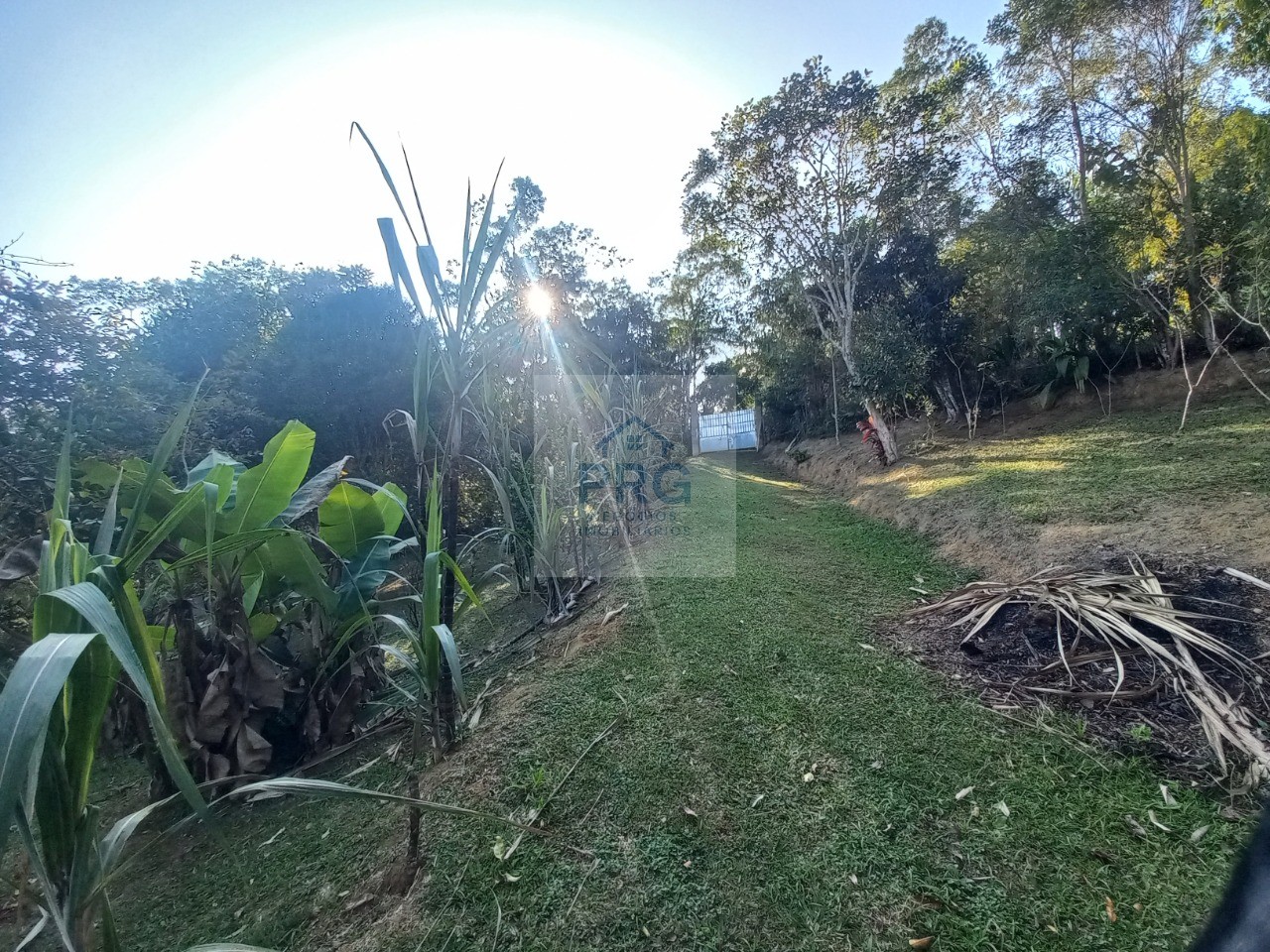 Chácara, 3 quartos, 2000 m² - Foto 24
