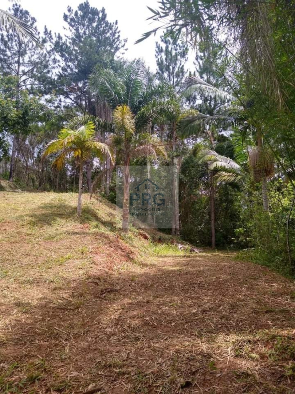 Terreno, 1500 m² - Foto 1