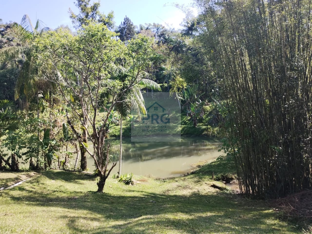 Chácara, 3 quartos, 7 hectares - Foto 18