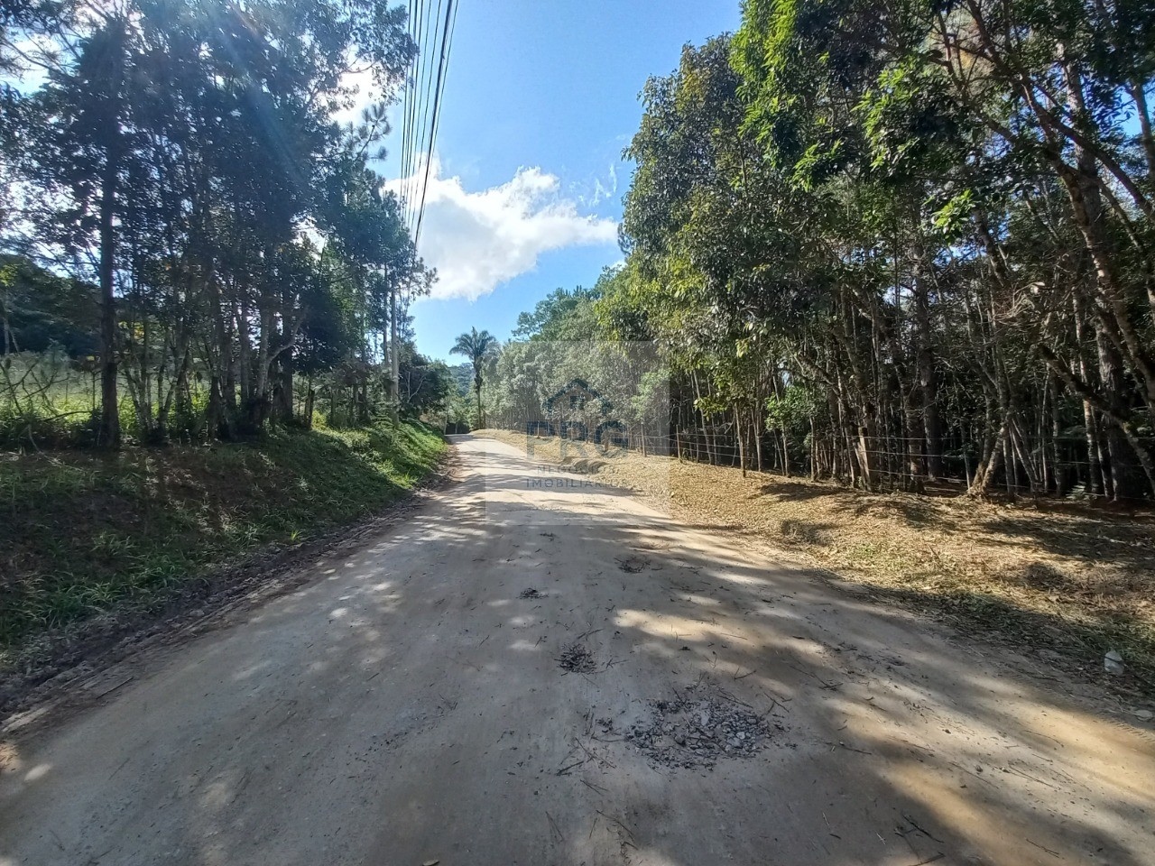 Terreno, 2 hectares - Foto 13