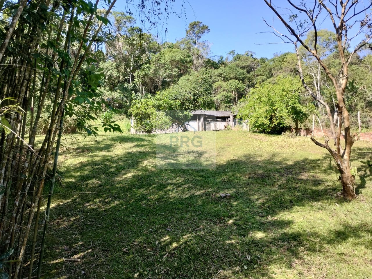 Chácara, 3 quartos, 7 hectares - Foto 12
