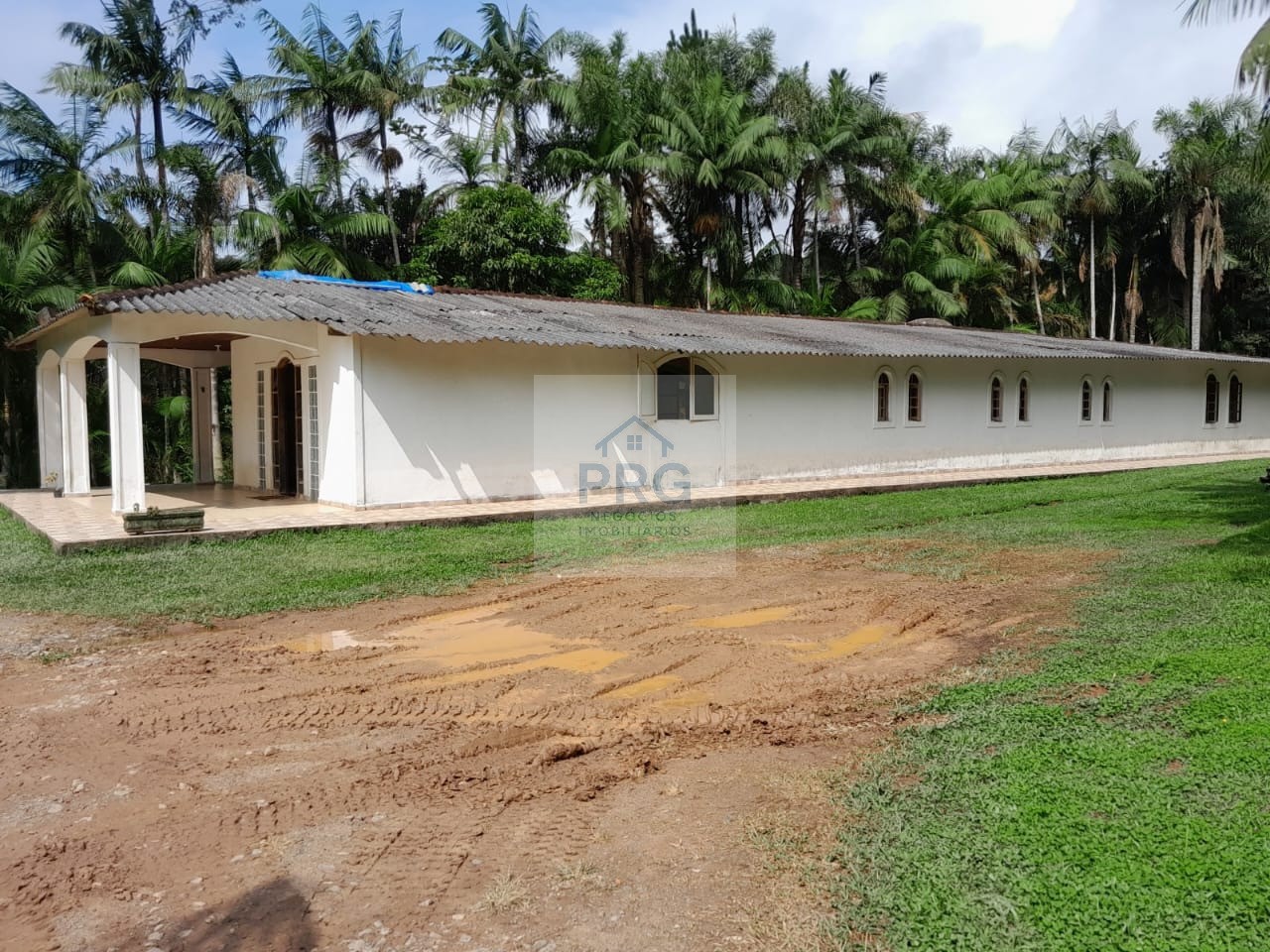 Chácara, 3 quartos, 7 hectares - Foto 10