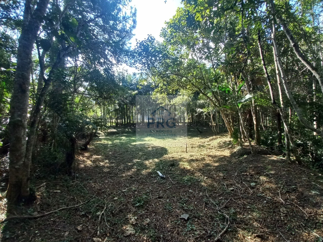 Terreno, 2 hectares - Foto 7